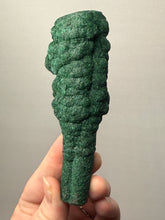 Load image into Gallery viewer, 4.9” High-Grade Malachite Stalactite Botryoidal “Cave” Formation | DR Congo | Mineral Collector Specimen