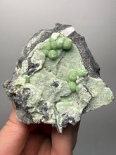 Load image into Gallery viewer, High-Grade Green Wavellite Collectors Specimen - Radiating Botryoidal Crystal Formation - Arkansas, USA