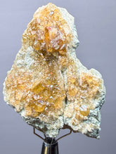 Load image into Gallery viewer, Hessonite Garnet Cluster on Matrix – Natural Collector Specimen from Pakistan | High-Grade Orange-Red Garnet Crystals