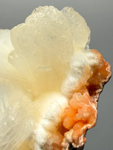 Load image into Gallery viewer, Cream Stilbite Flower on
Orange Heulandite Zeolite Cluster – India (Collector Mineral Specimen)