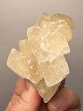 Load image into Gallery viewer, Rare Druzy Golden “Diamond” Calcite on Zeolite Matrix — Maharashtra, India | Collector Cabinet Specimen