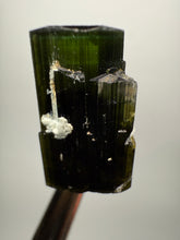 Load image into Gallery viewer, Dark Green Stak Nala Tourmaline and Cleavelandite – Haramosh Mountains, Pakistan | Thumbnail Specimen