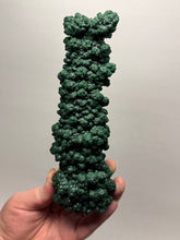 Load image into Gallery viewer, 7.1” Museum-Grade Druzy Malachite Stalactite “Cave” Formation | DR Congo | Mineral Collector Specimen