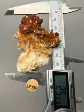 Load image into Gallery viewer, Natural Vanadinite on Matrix | Collector Mineral Specimen | Morocco