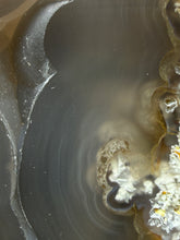 Load image into Gallery viewer, Natural Laguna Agate Collector Mineral Specimen | Chihuahua, Mexico