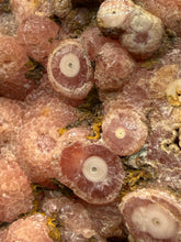 Load image into Gallery viewer, Rhodochrosite Free Form Collector Mineral Display Specimen — Argentina
