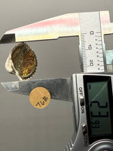 Load image into Gallery viewer, Bivalve (Pelecypoda) Fossil Sea Shell with Chalcopyrite | Mineralized Fossil Specimen | Indonesia