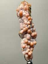 Load image into Gallery viewer, “Goblin Chalcedony” Pink and Red Druzy Botryoidal Stalactites — Tichka Massif, High Atlas, Morocco