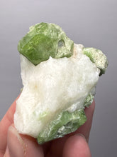 Load image into Gallery viewer, Electric Green Diopside on Quartz – Collector Mineral Specimen (Gilgit-Baltistan) Pakistan
