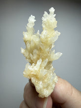 Load image into Gallery viewer, High-Grade Coral Aragonite Crystal Specimen – Wenshan Mine, Yunnan, China