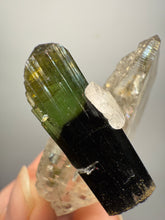 Load image into Gallery viewer, Dark Green Cap Stak Nala Tourmaline w Cleavelandite and Quartz Matrix – Haramosh Mountains, Pakistan
