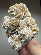 Load image into Gallery viewer, Desert Rose Selenite (Gypsum) — Mineral Display Specimen | Mexico