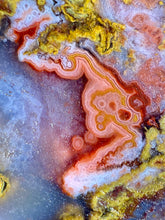 Load image into Gallery viewer, Pink Yellow Red Moroccan Agate | High Atlas Mountains •UNPOLISHED LAPIDARY SLAB