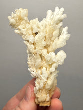Load image into Gallery viewer, 3.7” High-Grade Flower Calcite Specimen | Wenshan Mine, Yunnan, China | Collector Mineral Display