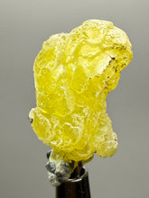 Load image into Gallery viewer, Vibrant Yellow Brucite Thumbnail Mineral Specimen | Collector Crystal from Killa Saifullah District in Balochistan Province, Pakistan
