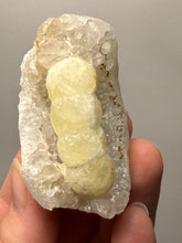 Load image into Gallery viewer, Rare Botryoidal Yellow Fluorite on Quartz Matrix Collector Mineral Specimen – Maharashtra, India