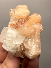 Load image into Gallery viewer, Gemmy Peach Stilbite Flower + Apophyllite on Red Heulandite — Maharashtra, India