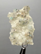 Load image into Gallery viewer, Blue-Green Chrysocolla in Botryoidal Chalcedony Cabinet Specimen | Indonesia
