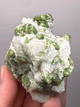 Load image into Gallery viewer, Electric Green Diopside on Quartz – Collector Mineral Specimen (Gilgit-Baltistan) Pakistan