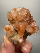 Load image into Gallery viewer, Rare Red Druzy Apophyllite with Red Stilbite Cluster | India | Collector Mineral Specimen