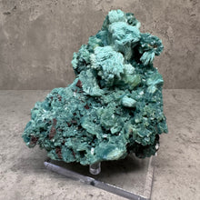 Load image into Gallery viewer, Specimen - Green Celadonite included Zeolite
