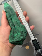 Load image into Gallery viewer, 6.6” High-Grade Malachite Stalactite Botryoidal “Cave” Formation | DR Congo | Mineral Collector Specimen