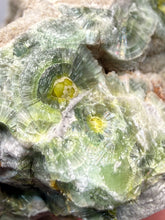 Load image into Gallery viewer, High-Grade Green Wavellite Collectors Specimen - Radiating Botryoidal Crystal Formation - Arkansas, USA