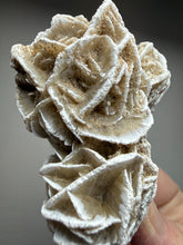 Load image into Gallery viewer, Desert Rose Selenite (Gypsum) — Mineral Display Specimen | Mexico