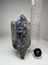 Load image into Gallery viewer, Grape Agate from Indonesia • Mineral Collector’s Showpiece Specimen