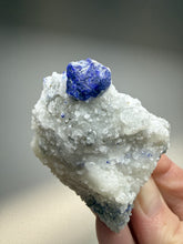 Load image into Gallery viewer, Afghan Lazurite Specimen | Deep Blue Lapis-Grade Crystal on Matrix | Collector Display Mineral