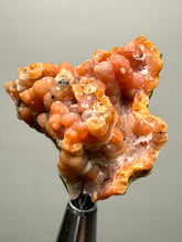 Load image into Gallery viewer, “Goblin Chalcedony” Pink & Orange Druzy Botryoidal Stalactites— Tichka Massif, High Atlas, Morocco