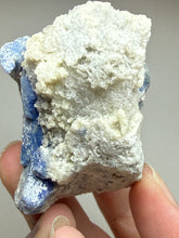 Load image into Gallery viewer, Afghanite Lazurite Specimen | Deep Blue Lapis-Grade Crystal on Matrix | Collector Display Mineral