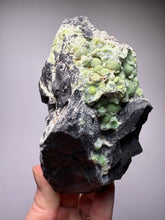 Load image into Gallery viewer, High-Grade Green Wavellite Collectors Specimen - Radiating Botryoidal Crystal Formation - Arkansas, USA