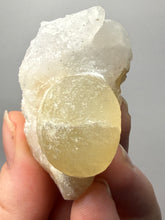 Load image into Gallery viewer, Rare Botryoidal Yellow Fluorite on Quartz Matrix Collector Mineral Specimen – Maharashtra, India