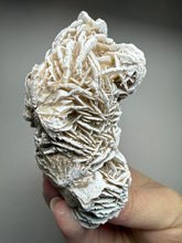 Load image into Gallery viewer, Desert Rose Selenite (Gypsum) — Mineral Display Specimen | Mexico