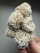 Load image into Gallery viewer, Desert Rose Selenite (Gypsum) — Mineral Display Specimen | Mexico