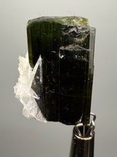 Load image into Gallery viewer, Dark Green Cap Stak Nala Tourmaline with Cleavelandite Flower – Haramosh Mountains, Pakistan | Thumbnail Specimen