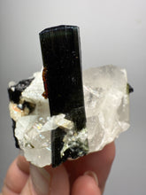 Load image into Gallery viewer, Blue Cap Dark Green Stak Nala Tourmaline and Quartz on Cleavelandite Matrix – Haramosh Mountains, Pakistan