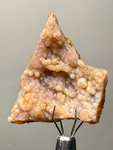 Load image into Gallery viewer, “Goblin Chalcedony” Pink and Red Druzy Botryoidal Stalactites — Tichka Massif, High Atlas, Morocco