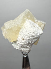 Load image into Gallery viewer, Rare Druzy Golden “Diamond” Calcite on Zeolite Matrix — Maharashtra, India | Collector Cabinet Specimen