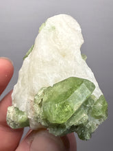 Load image into Gallery viewer, Electric Green Diopside on Quartz – Collector Mineral Specimen (Gilgit-Baltistan) Pakistan