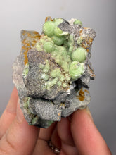 Load image into Gallery viewer, High-Grade Green Wavellite Collectors Specimen - Radiating Botryoidal Crystal Formation - Arkansas, USA