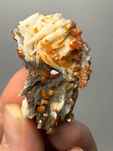 Load image into Gallery viewer, Natural Vanadinite on Matrix | Collector Mineral Specimen | Morocco