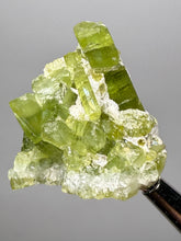 Load image into Gallery viewer, Lime Green Tourmaline on Matrix– Pegmatite Mineral Specimen from Pakistan