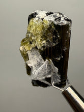 Load image into Gallery viewer, Green Cap Stak Nala Tourmaline with Cleavelandite – Haramosh Mountains, Pakistan | Thumbnail Specimen