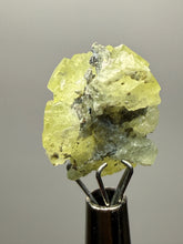 Load image into Gallery viewer, Vibrant Yellow Brucite Thumbnail Mineral Specimen | Collector Crystal from Killa Saifullah District in Balochistan Province, Pakistan