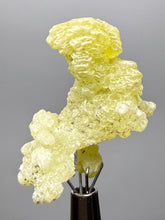 Load image into Gallery viewer, Vibrant Yellow Brucite Thumbnail Mineral Specimen | Collector Crystal from Killa Saifullah District in Balochistan Province, Pakistan