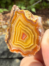 Load image into Gallery viewer, Small High-Grade Laguna Agate with Parallax Effect & Quartz Core – Rare Mexican Collectible Gemstone
