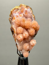 Load image into Gallery viewer, “Goblin Chalcedony” Pink & Orange Druzy Botryoidal Stalactites— Tichka Massif, High Atlas, Morocco