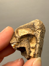 Load image into Gallery viewer, Premium Sumatra Agate (Banded Chalcedony) Display Specimen | Indonesia